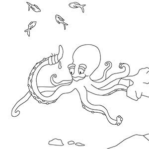 pobarvanka-hobotnica-vztraja